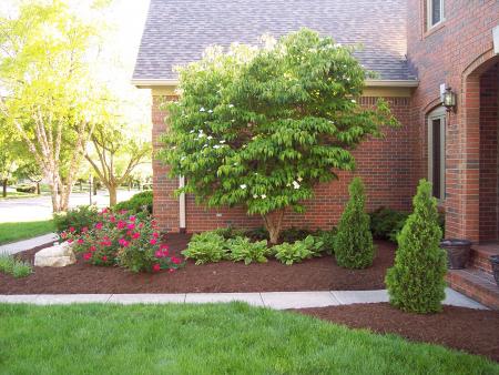 Front Landscape