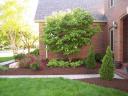 Front Landscape
