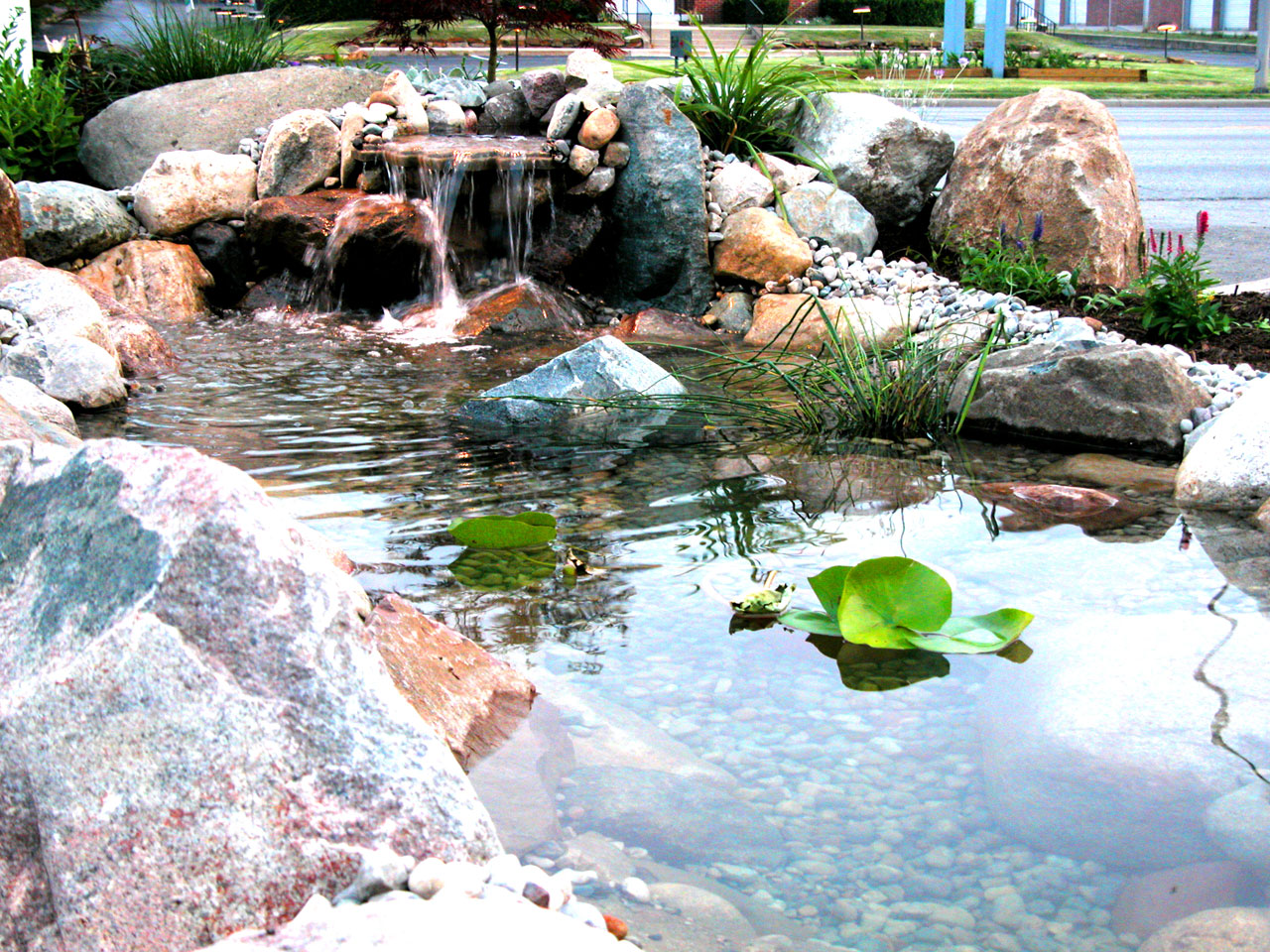 Waterfall - Irvington Pet Clinic