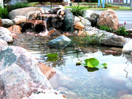 Waterfall - Irvington Pet Clinic